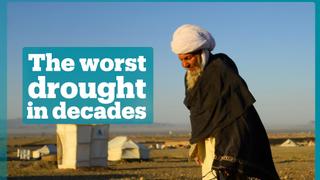 Farmers in western Afghanistan are fleeing drought
