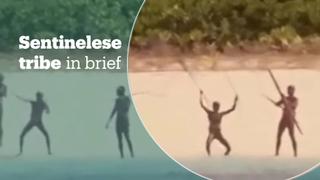 The Sentinelese tribe in brief
