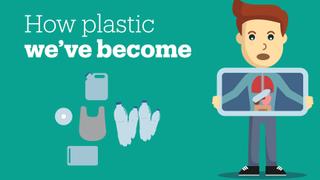 How much plastic is inside you?
