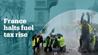 France suspends fuel tax rise