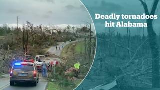Deadly tornadoes kill at least 23 in Alabama