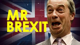 UKIP LASHES OUT AT FARAGE!! Will there even be a BREXIT!?