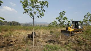 Cambodian village elders hope to save forests | Money Talks