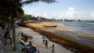 Seaweed stains Mexico’s tourist hotspots | Money Talks