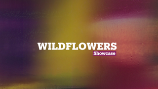 Nejat Sati: Wildflowers