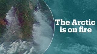 The Arctic is on fire, satellite images show