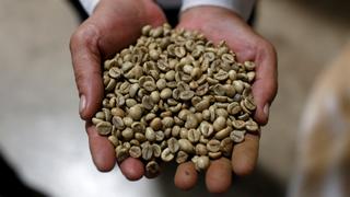 Malagasy bats help produce lucrative coffee brew | Money Talks