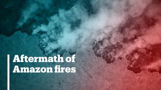 Drone footage shows the aftermath of Amazon fires