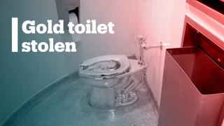 Gold toilet stolen from Blenheim Palace in UK