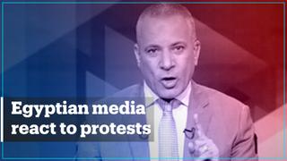 Egyptian media blames protests on conspiracy