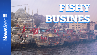 Fishy business. Are the fish boats of Istanbul about to close forever?