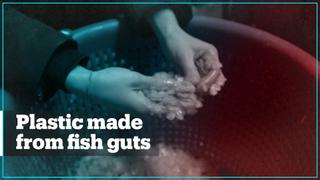 Student invents plastic made from fish guts