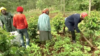 Kenyan prison uses farming to empower inmates | Money Talks