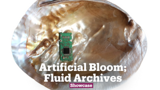 Artificial Bloom; Fluid Archives