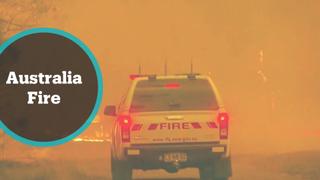 Australia Fires: Catastrophic conditions fuel blazes across New South Wales