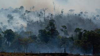 Large parts of Amazon forest destroyed in 2019 | Money Talks
