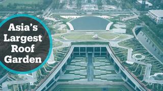 Thailand's Thammasat University has Asia's biggest rooftop garden