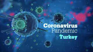 Coronavirus pandemic in Turkey - Focal Point