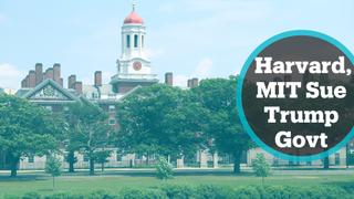 Harvard, MIT sue Trump administration over student visa row