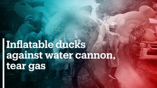Demonstrators use inflatable ducks to soften firehose sting