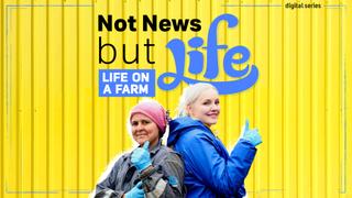 Not News But Life I A Day in the Life of a Farmer I Episode 3