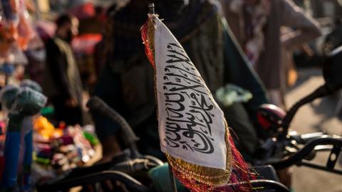 Taliban to 'temporarily' enact monarch-era constitution in Afghanistan