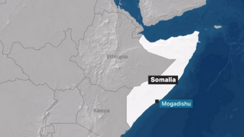 Senior Daesh leader, 10 others killed in Somalia raid: US officials