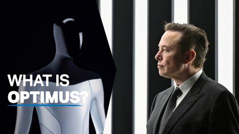 What if there was a robot version of yourself?