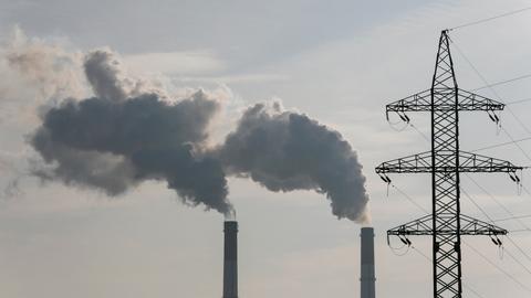 ‘An Ecocide’: How the conflict in Ukraine is bombarding the environment