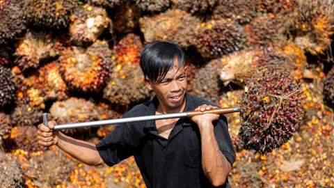 Fears of shortages loom as Indonesia bans palm oil exports
