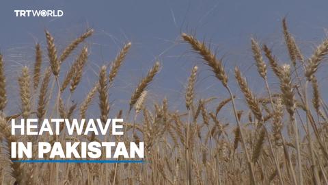 Heatwave brings Pakistan to standstill