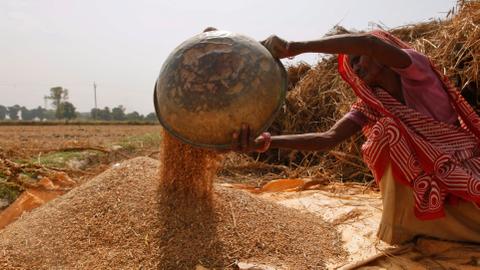 India prohibits exports of wheat to tame local prices