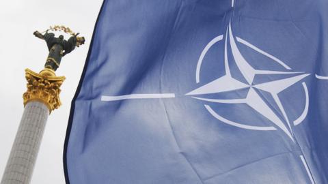 Why Türkiye opposes Sweden and Finland's NATO bid