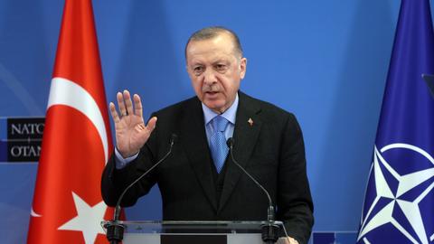 Erdogan reiterates Türkiye's disapproval for Finland, Sweden NATO bids