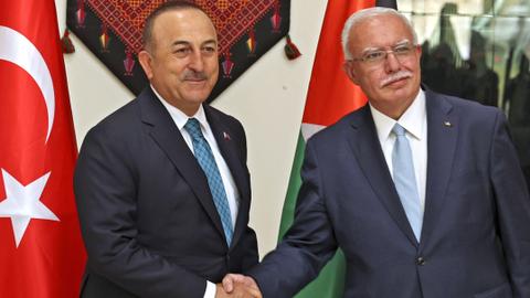 Türkiye's stance on Palestine will not change: Cavusoglu