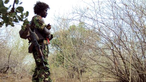 Ethiopia's Abiy accuses OLA rebels of new 'massacre' in Oromia region