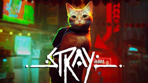 'Stray': a virtual cat in a game is helping real cats in shelters