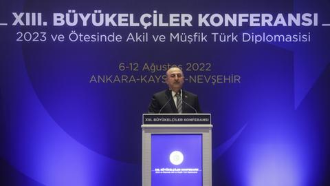 Ankara's 'entrepreneurial, humanitarian' foreign policy benefits world: FM