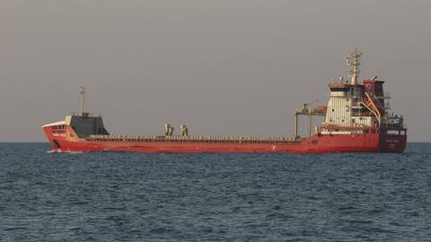 Two more ships leave Ukraine under Türkiye-brokered grain deal