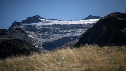 'A disastrous year': Swiss glaciers melt away at record rate