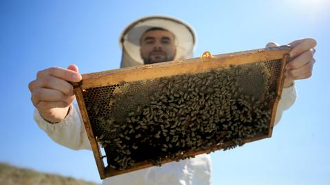 Honey producer increases number of hives tenfold with Turkish state support