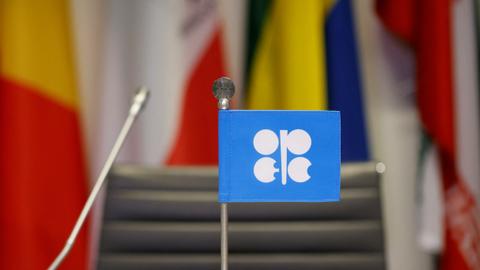 OPEC+ agrees major oil output cut, irking US