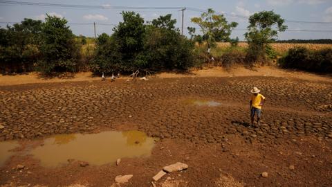 Climate crisis made 2022 drought 'at least 20 times likelier'