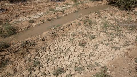 Climate crisis threatens to displace millions in Middle East - TRT World