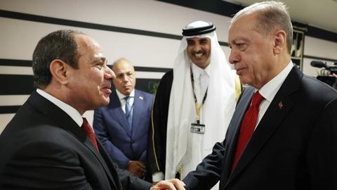Sisi-Erdogan meeting marks new start in bilateral ties: Egypt