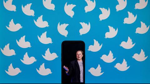 Musk announces 'amnesty' for suspended Twitter accounts after poll