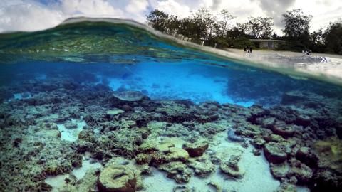 Australia's Great Barrier Reef should be on 'in danger' list: UN panel