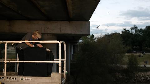 Freezing bats rescued as hypothermic shock hits their colony in Texas