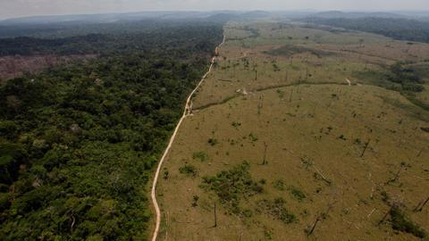 Brazil’s Lula orders logging raids to combat Amazon deforestation