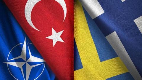 Türkiye postpones trilateral talks with Sweden, Finland after Quran burning